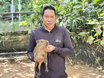 Zoo caretaker gently holding baby Nong Wan